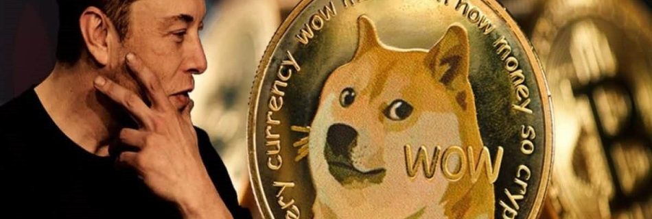 When, Why And From Where We Buy Dogecoin