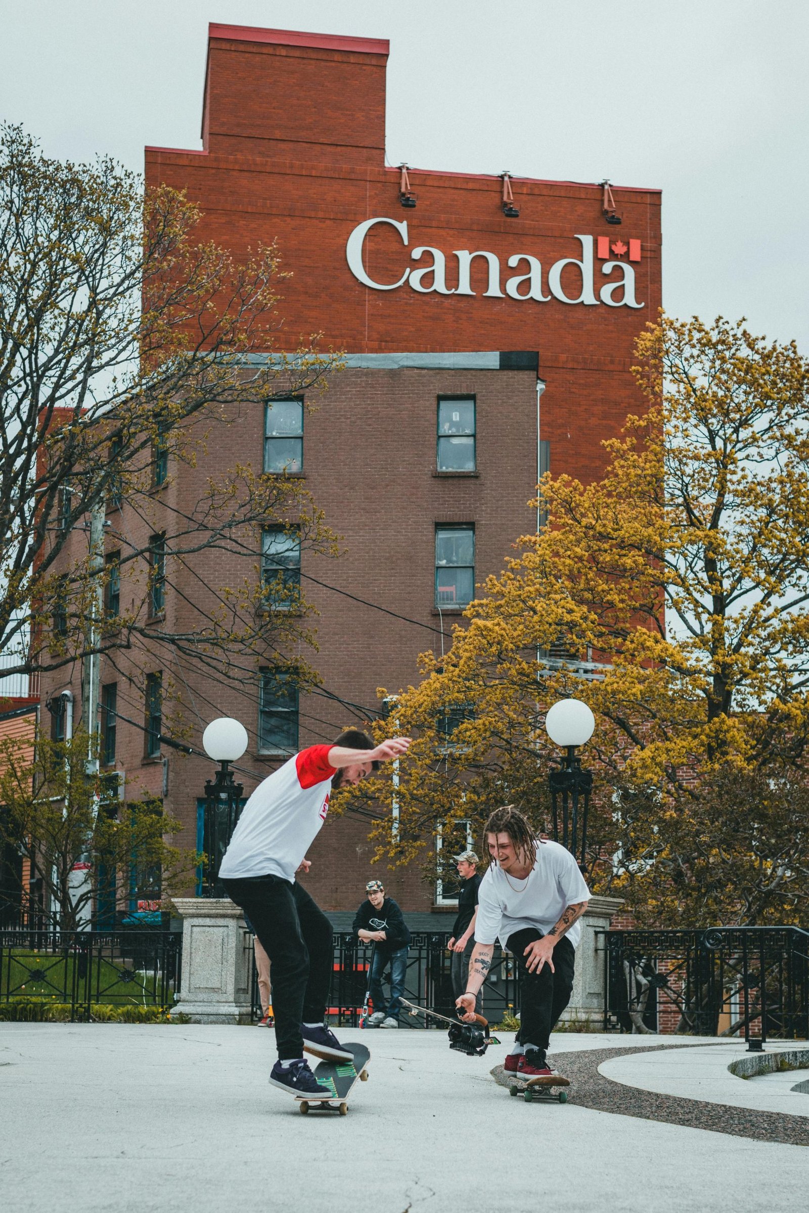 canada university scholarship, scholarship to study in canada, what do scholarships do, what scholarships am i eligible for, what scholarships do i qualify for