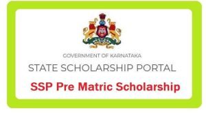 canada fully funded scholarship, canada university scholarship, scholarship to study in canada, what are merit based scholarships , what are national merit scholarships , what are the scholarships